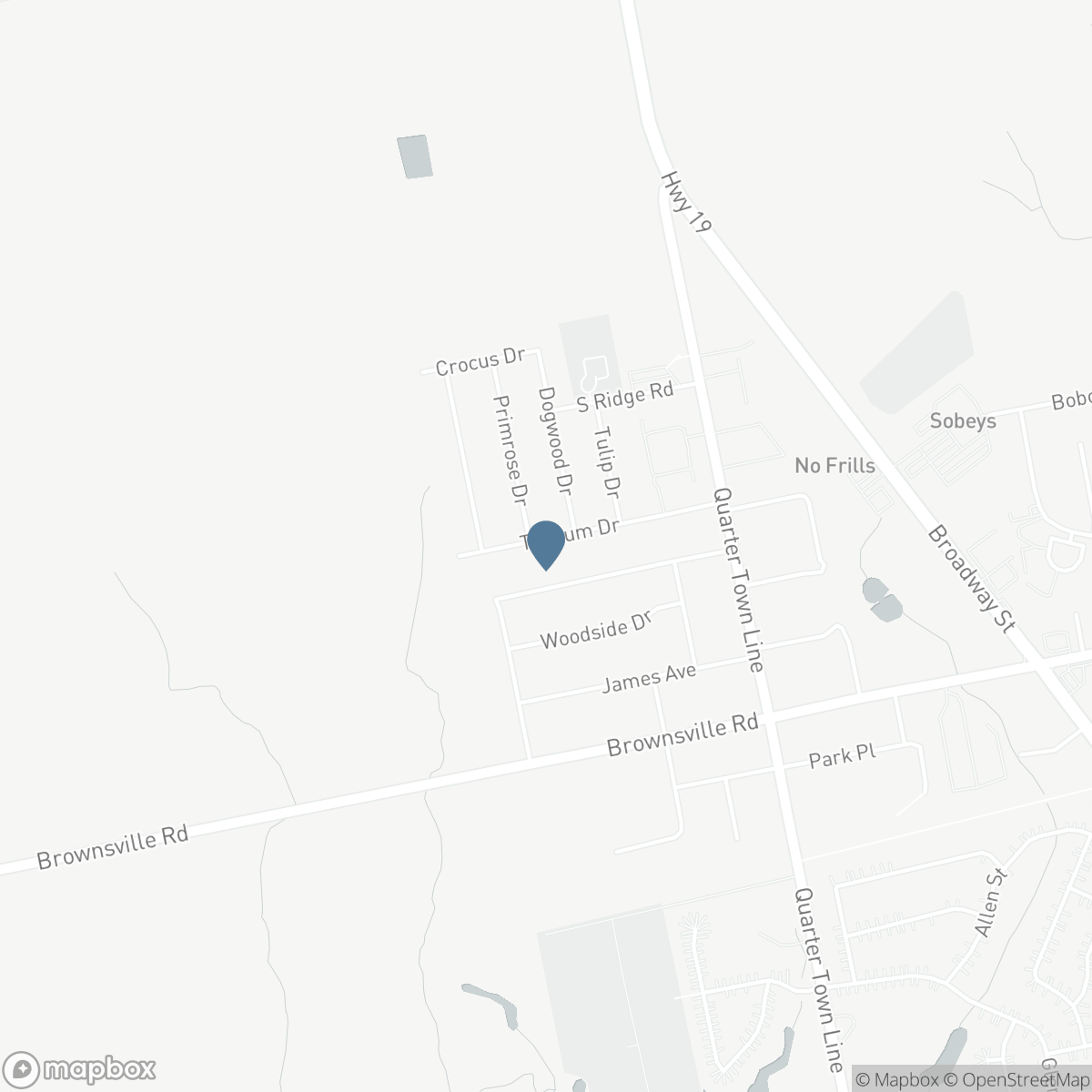 43 TRILLIUM DRIVE, Tillsonburg, Ontario N4G 5S8
